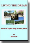 e-book cover for 'Living the Dream'